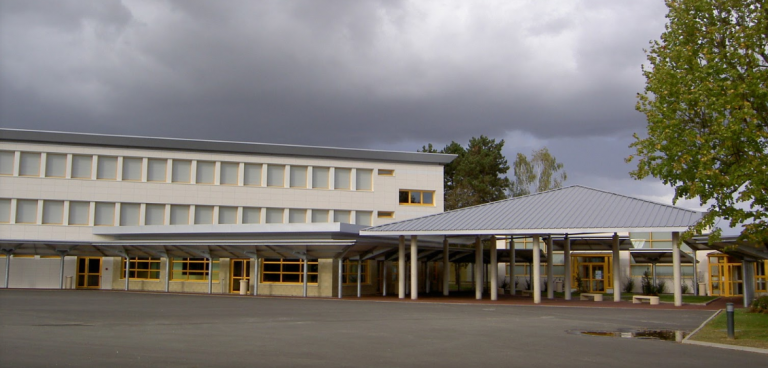 tomas divi